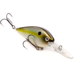 Summer Sexy Shad