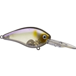 Clearwater Minnow
