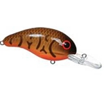 Brown Craw/Orange Belly