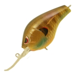 Blue Gill