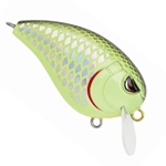 Chartreuse Black Lightning