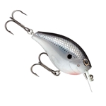 Black Silver Shad
