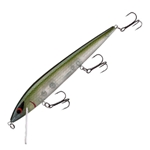 Emerald Shiner
