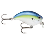 Hot Blue Shad