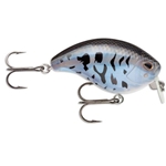 Crappie