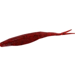 Tomato Seed
