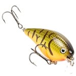 Orange Belly Craw
