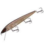 Brown Golden Shiner