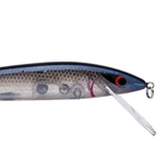 Blue Herring