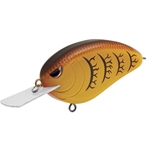 Spring Craw