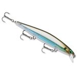 Moss Back Shiner