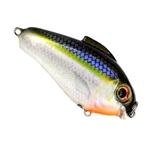 Blue Shiner