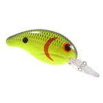 Chartreuse Black Back Scales