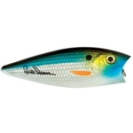 Gizzard Shad