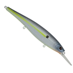 Sexier Shad