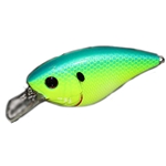 Blue-Treuse Shad