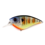 Custom Bluegill