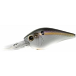 Gizzard Shad