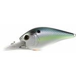 Wild Shad