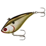 Gold Shiner