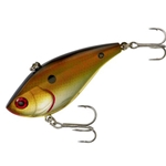 Copper Shiner