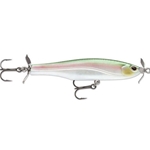 Blue Back Herring