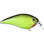 KVD Cataouatche Special