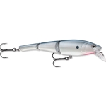 Gizzard Shad