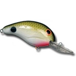 Tennessee Shad