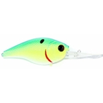 Blue-Treuse Shad