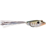 Blue Gill