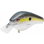 Nasty Shad