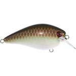 Cooper Nose Shad