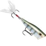 Bluegill