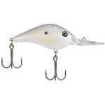 Lavendar Shad