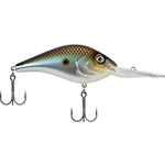 Rusty Shad