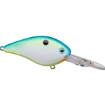Citrus Shad