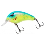 Chartreuse Blue Back