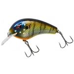Bluegill