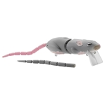Grey Ghost Rat 25