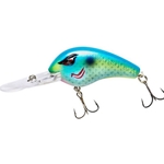 Silver Blue Citrus