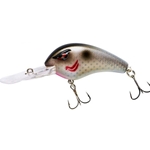 Real Gizzard Shad