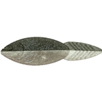 Threadfin Shad