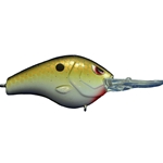 Copper Shad
