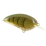 Watermelon Red Craw