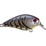 Blue Craw