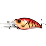 Brown Eye Craw