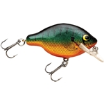 Late Spring Bream
