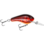Red Crawdad