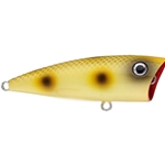 Yellow Frog